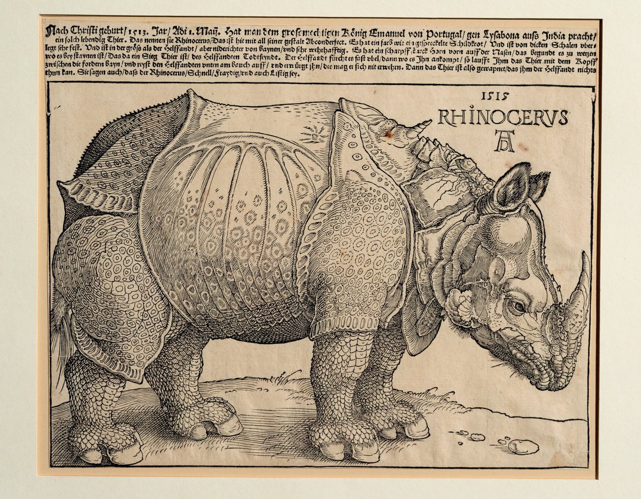Nosorożec autorstwa Albrecht Dürer or Duerer