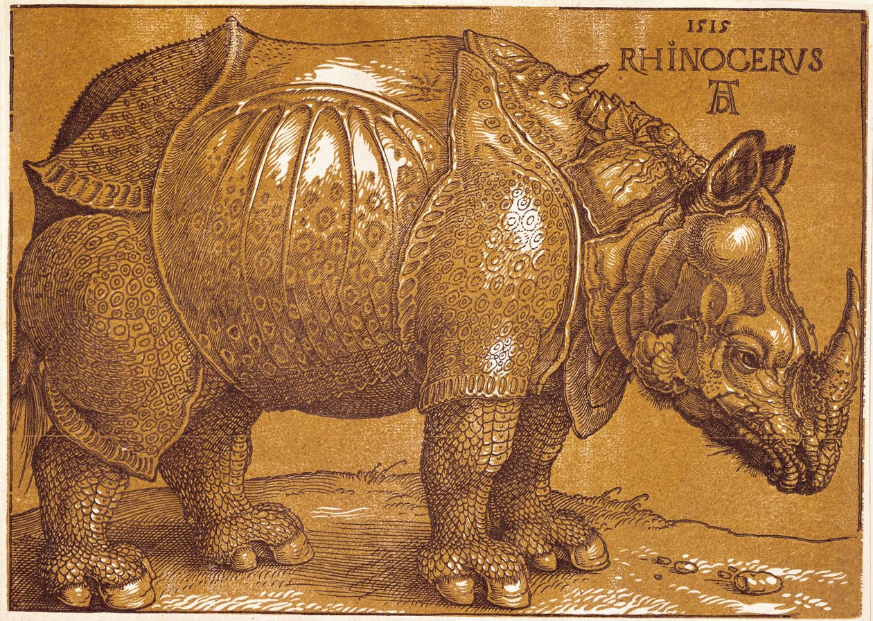 Nosorożec autorstwa Albrecht Dürer or Duerer