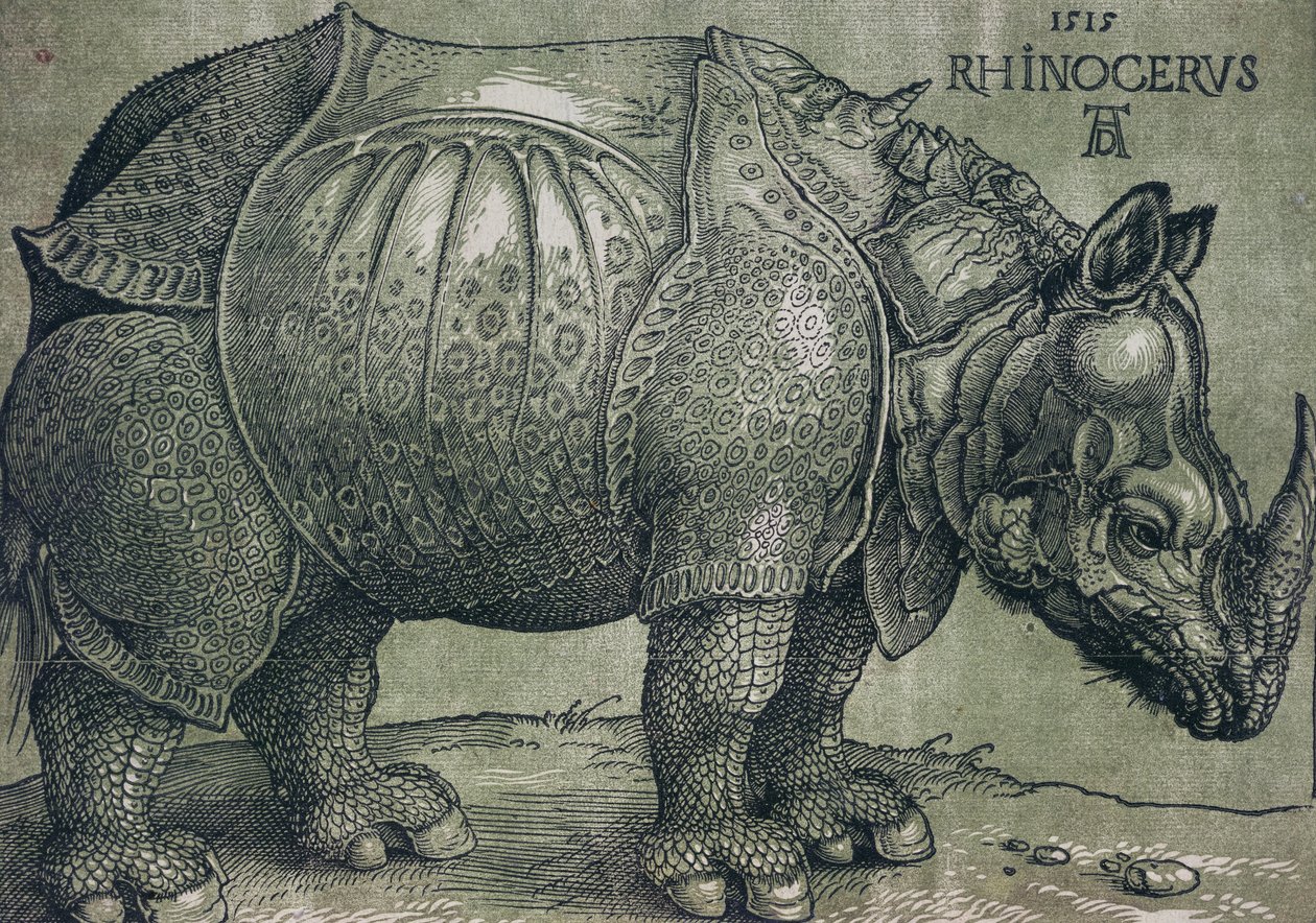 Nosorożec, 1515 autorstwa Albrecht Dürer