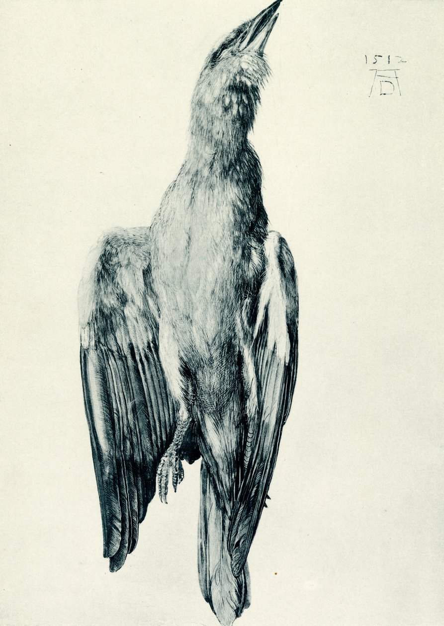 Martwy niebieski wałek autorstwa Albrecht Dürer
