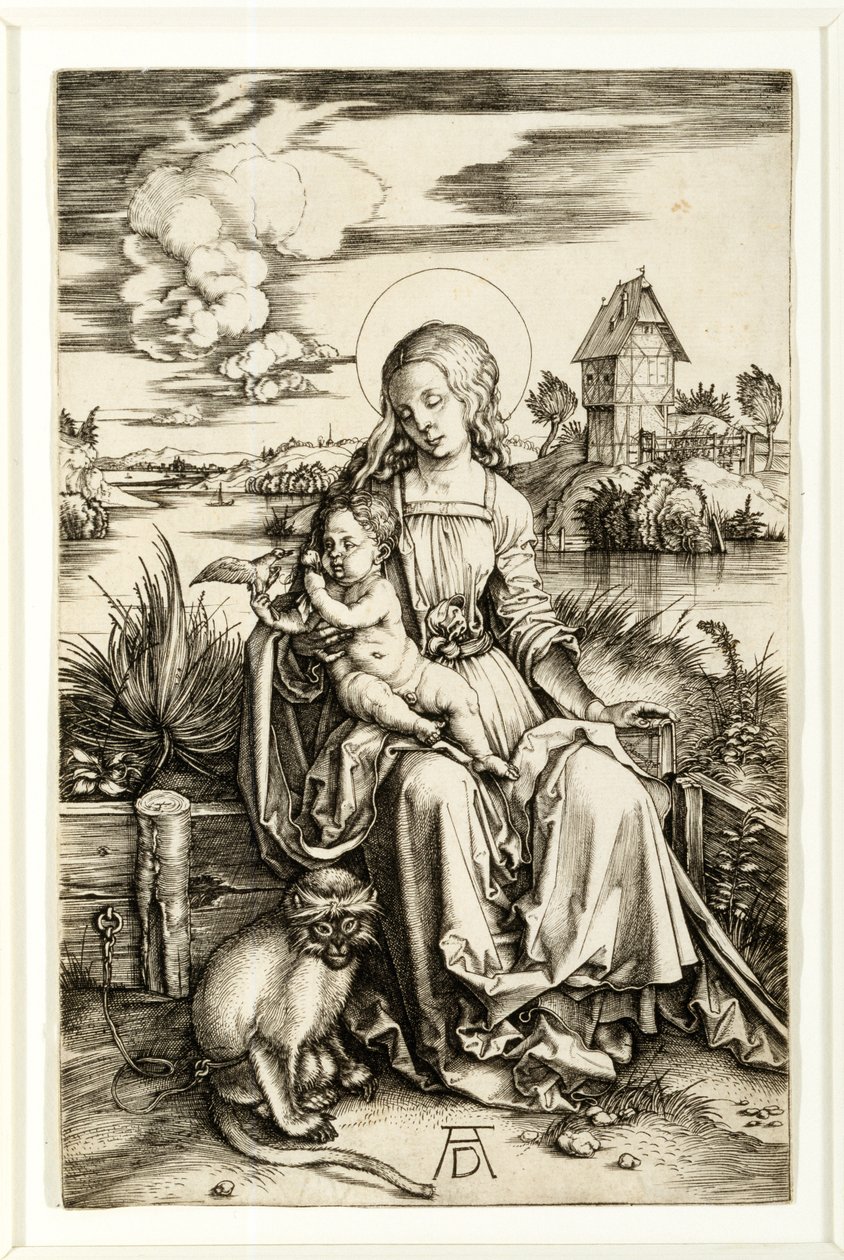 Dziewica z Dzieciątkiem i małpą autorstwa Albrecht Dürer