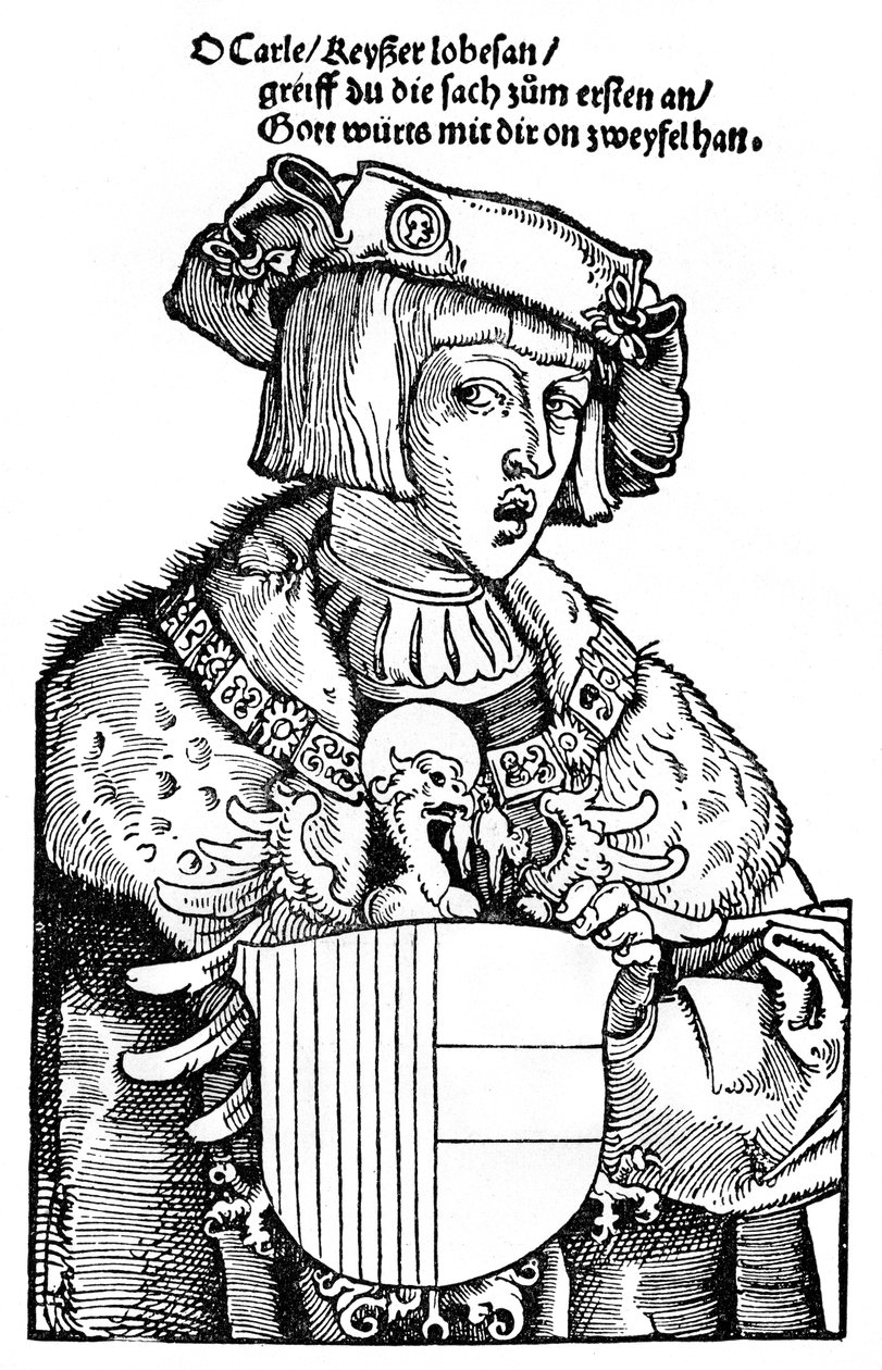 Młody Karol V autorstwa Albrecht Dürer