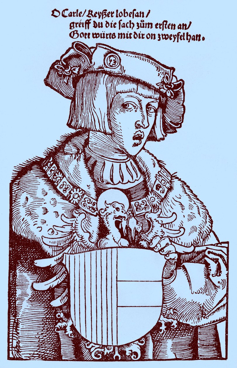 Młodzież Karol V (1500-1558) (grafika) autorstwa Albrecht Dürer