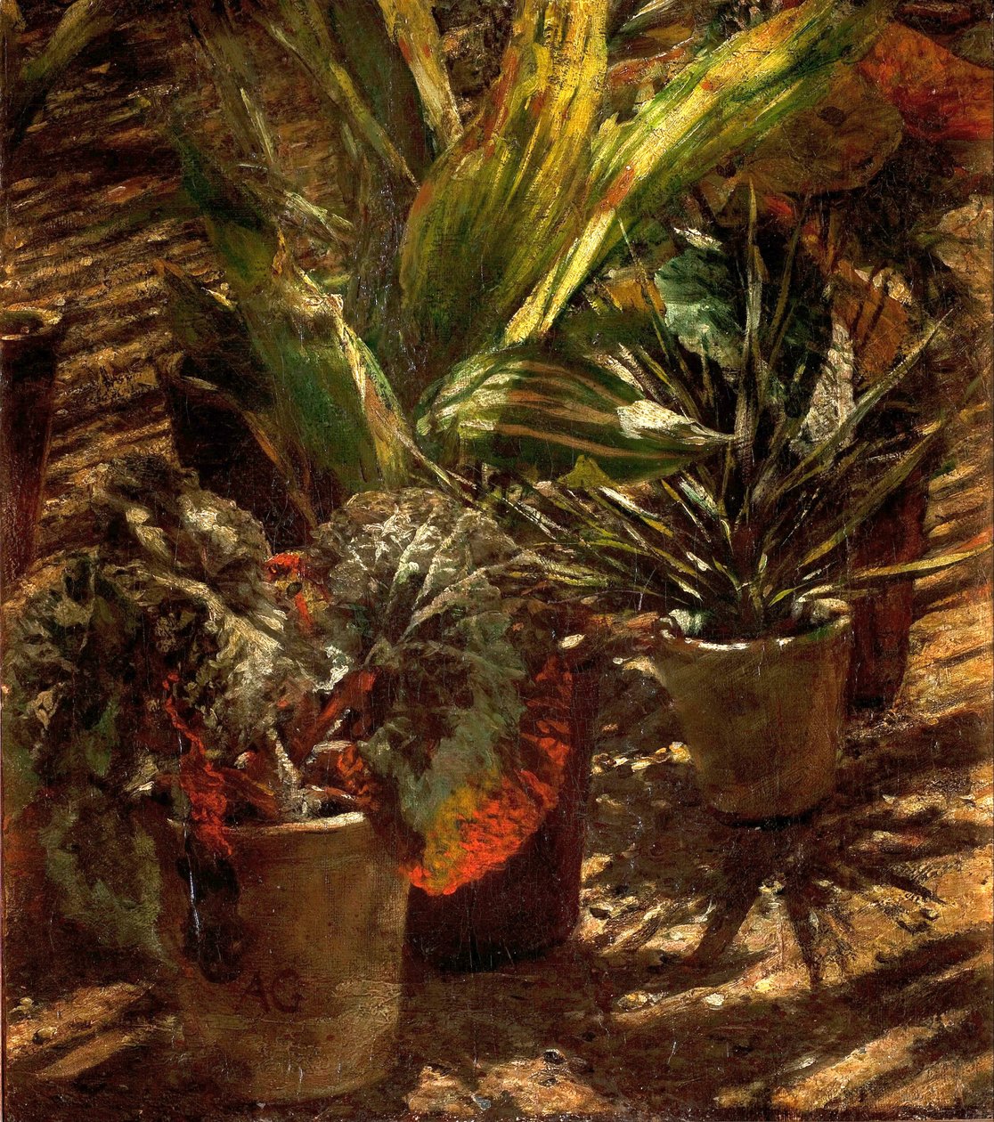 Begonie autorstwa Aleksander Gierymski