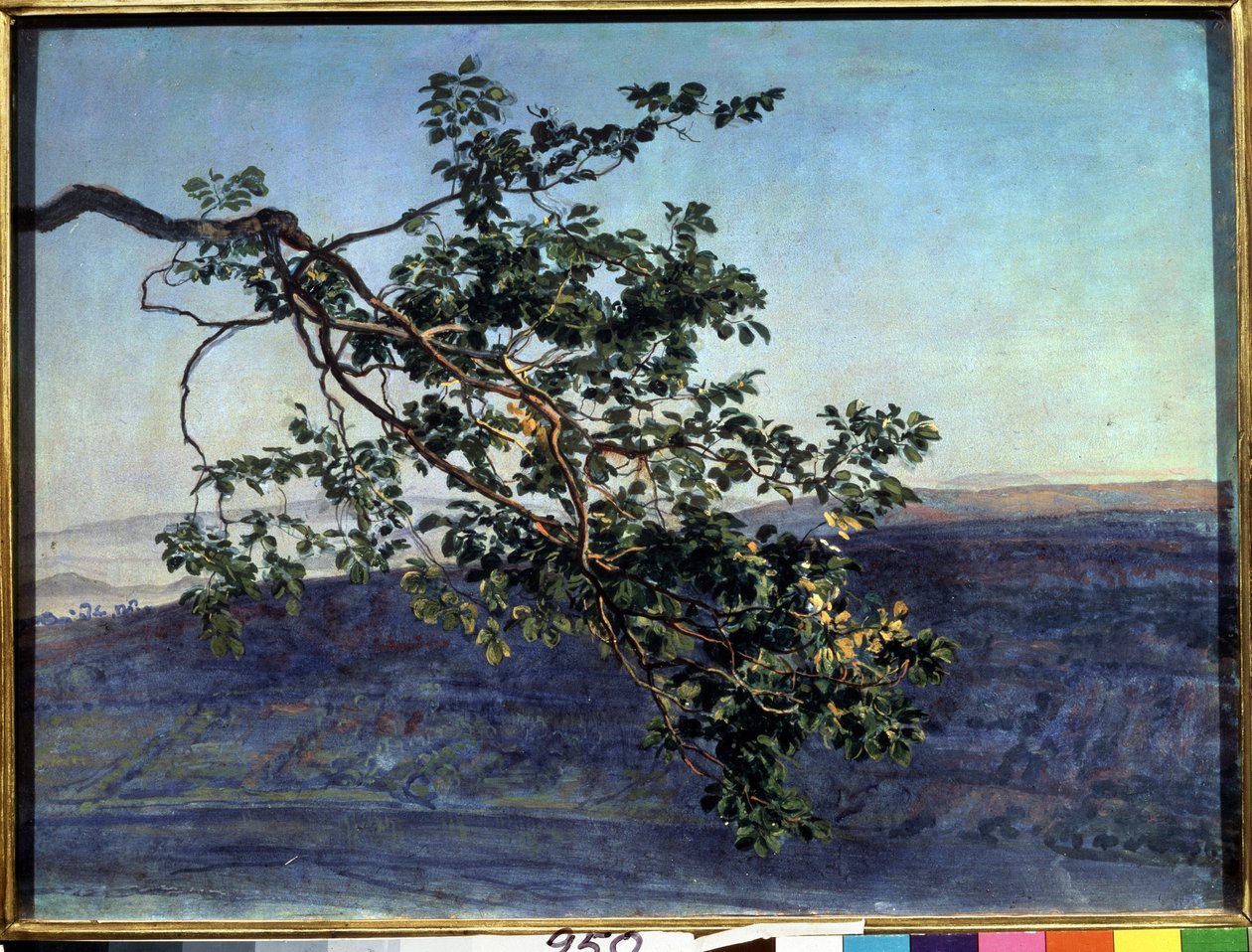 „La branche” Peinture de Alexander Ivanov (1806-1858) 1840-1850 Państwowa Galeria Tretiakowska, Moskwa autorstwa Aleksandr Andreevich Ivanov