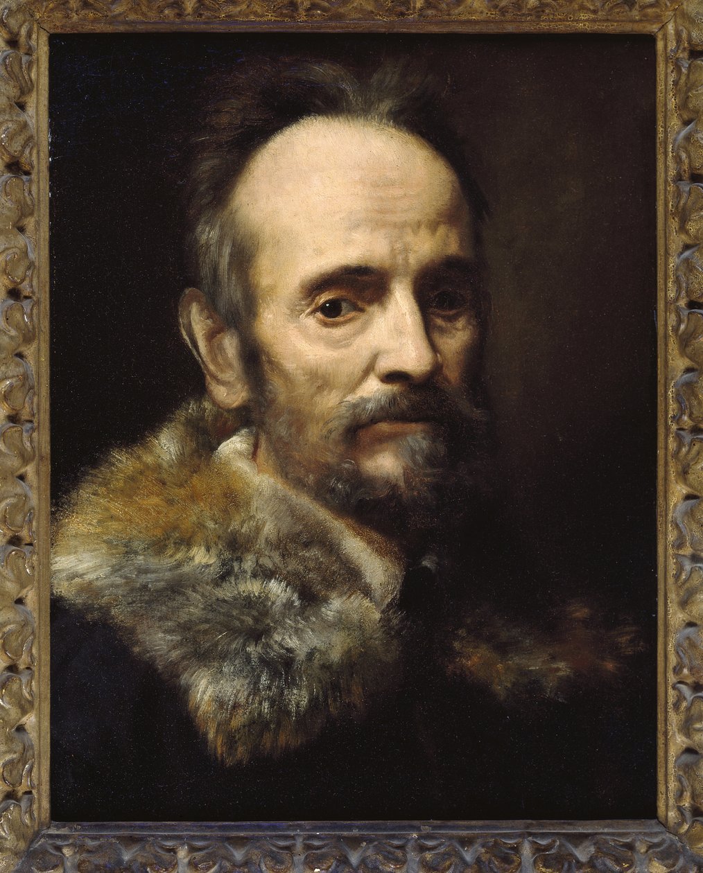 Bernardo Davanzati Bostichi autorstwa Alessandro Allori