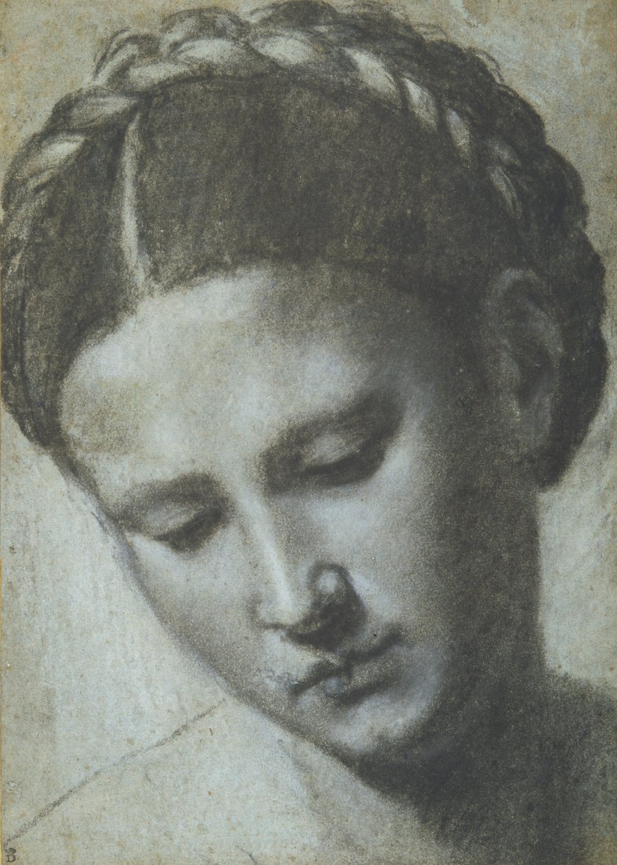Głowa kobiety ze splecionymi włosami (węgiel i biała kreda na carta azzura) autorstwa Alessandro Bonvicino Moretto