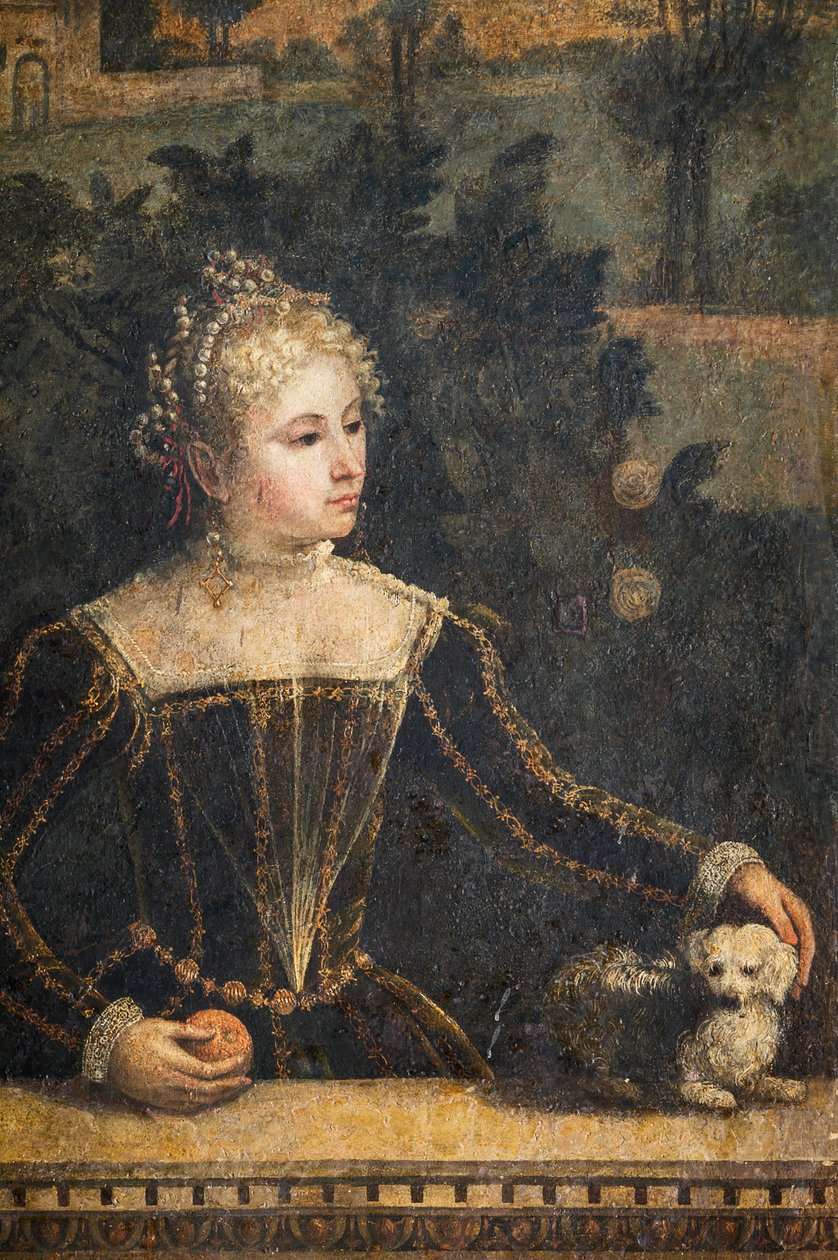 Portret szlachcianki, detal Małej Sali Szlachetnych Dam (olej na płótnie przyklejony do ścian) autorstwa Alessandro Bonvicino Moretto