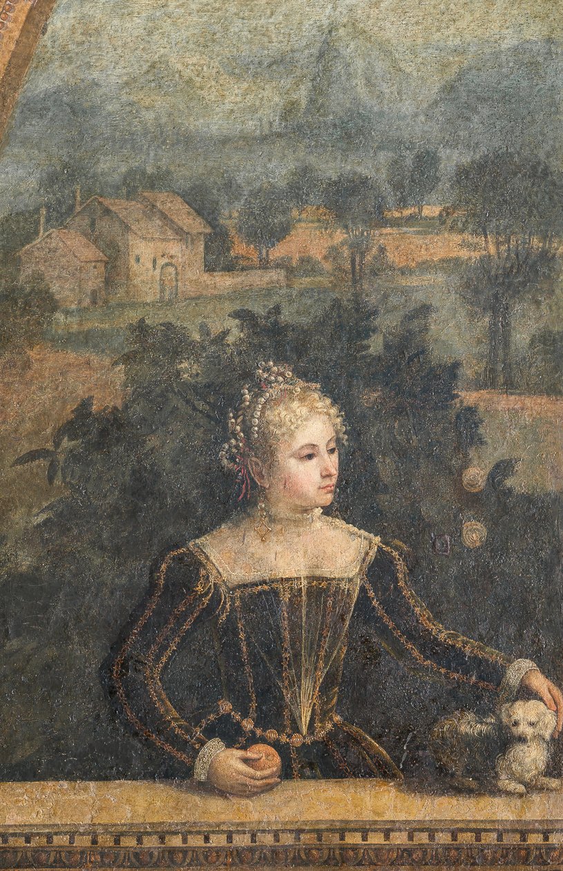 Portret szlachcianki, detal Małej Sali Szlachetnych Dam (olej na płótnie przyklejony do ścian) autorstwa Alessandro Bonvicino Moretto