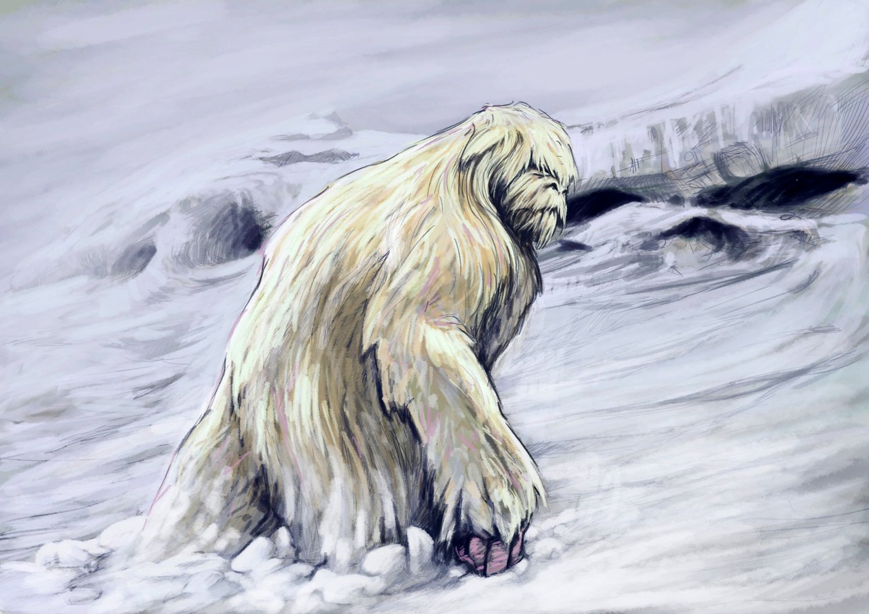 Fantastyczne potwory i stworzenia, kryptozoologia: przedstawienie yeti lub „obrzydliwego bałwana”, antropomorficzne stworzenie z folkloru regionu Himalajów (Yeti lub Abominable Snowman to podobna do małpy kryptyda, która podobno zamieszkuje himalajski regi autorstwa Alessandro Lonati
