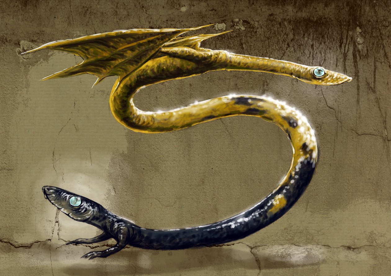 Fantastyczne potwory i stworzenia, kryptozoologia: przedstawienie Amphisbene, mitologicznego węża z dwiema głowami - (Amphisbaenamythological, wąż zjadający mrówki z głową na każdym końcu) Rysunek: Alessandro Lonati, 2012 autorstwa Alessandro Lonati