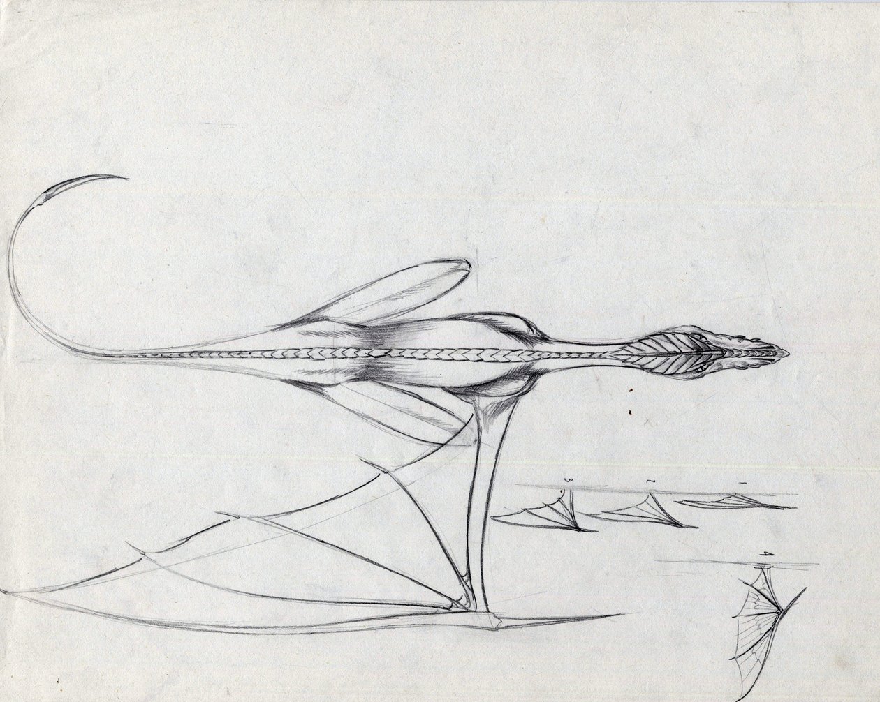Animal lendário para ilustração de fantasia: estudo para um dragão Desenho de Alessandro Lonatipolish autorstwa Alessandro Lonati
