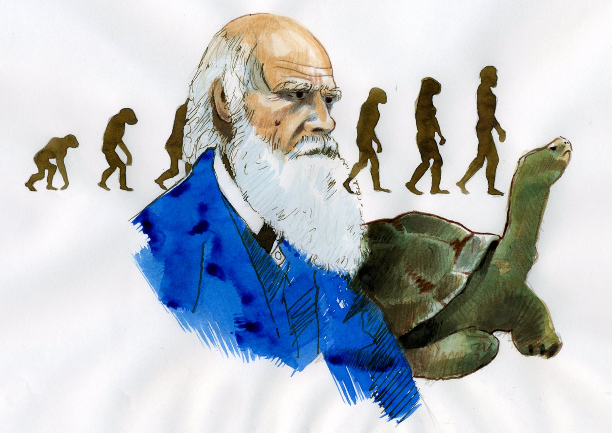 Portret Karola Darwina - Portret angielskiego przyrodnika Karola Darwina (1809-1882) Ilustracja autorstwa Alessandro Lonati