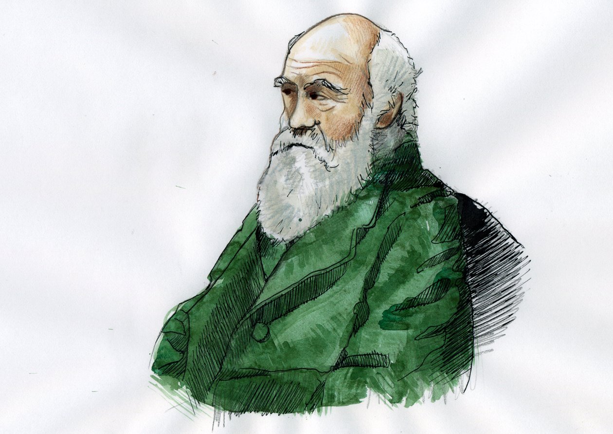 Portret Karola Darwina - Portret angielskiego przyrodnika Karola Darwina (1809-1882) ilustracja autorstwa Alessandro Lonati