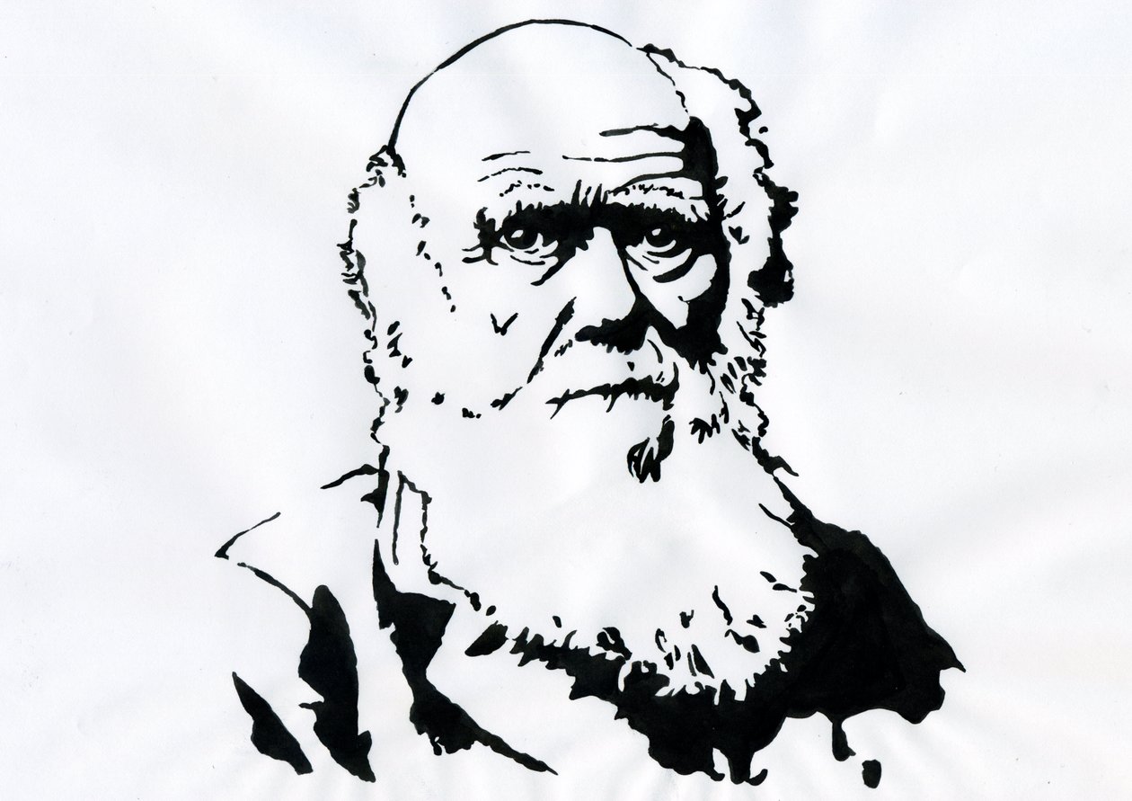 Portret Karola Darwina - Portret angielskiego przyrodnika Karola Darwina (1809-1882) Ilustracja autorstwa Alessandro Lonati