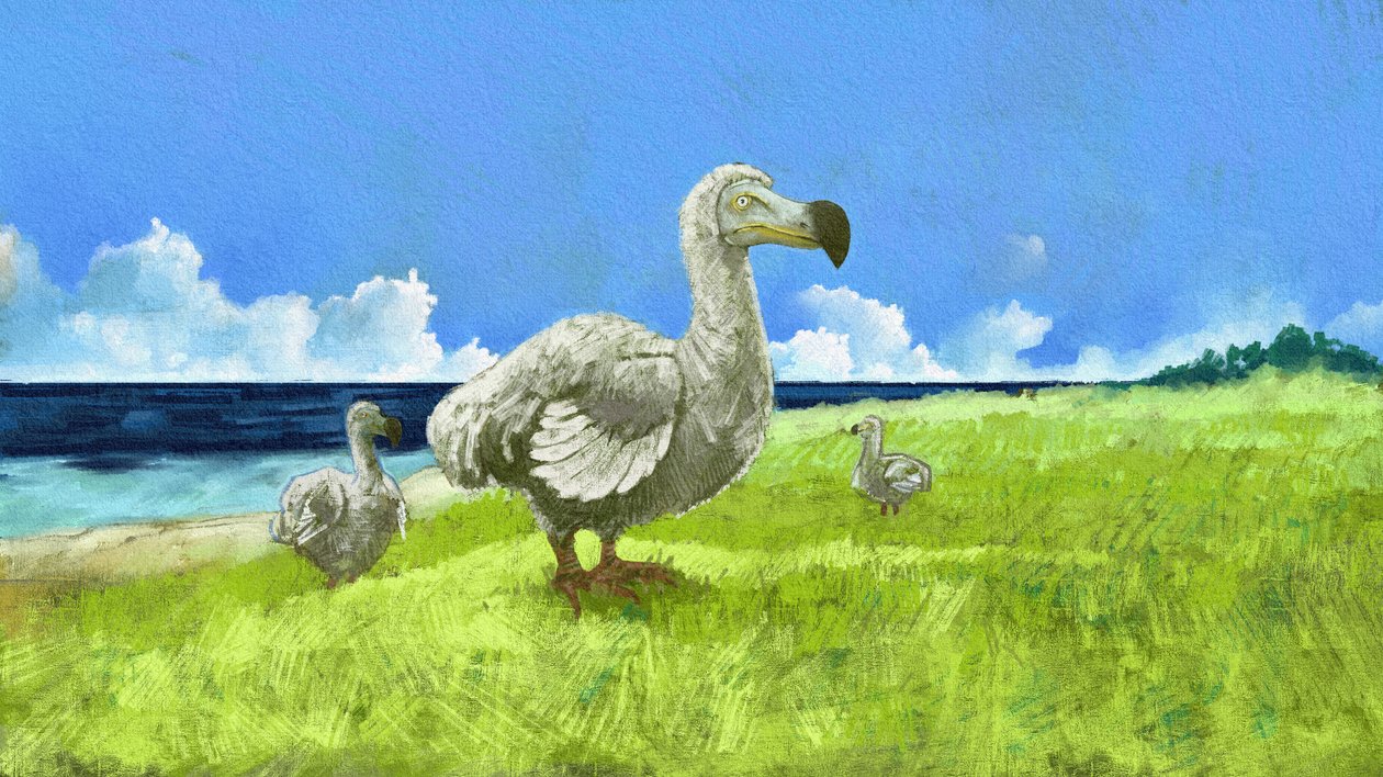 Przedstawienie wymarłego ptaka dodo (ilustracja) autorstwa Alessandro Lonati