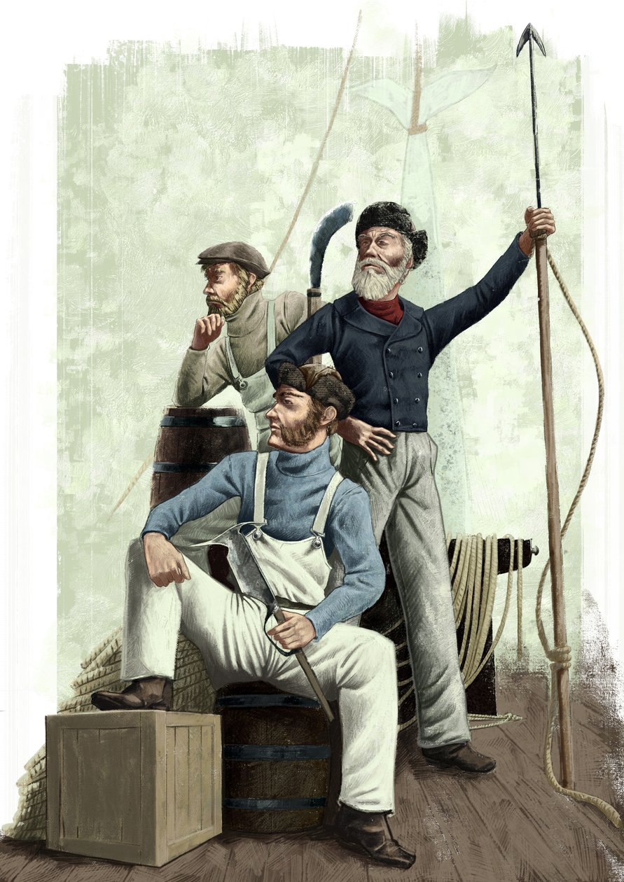 Trzy wieloryby autorstwa Alessandro Lonati