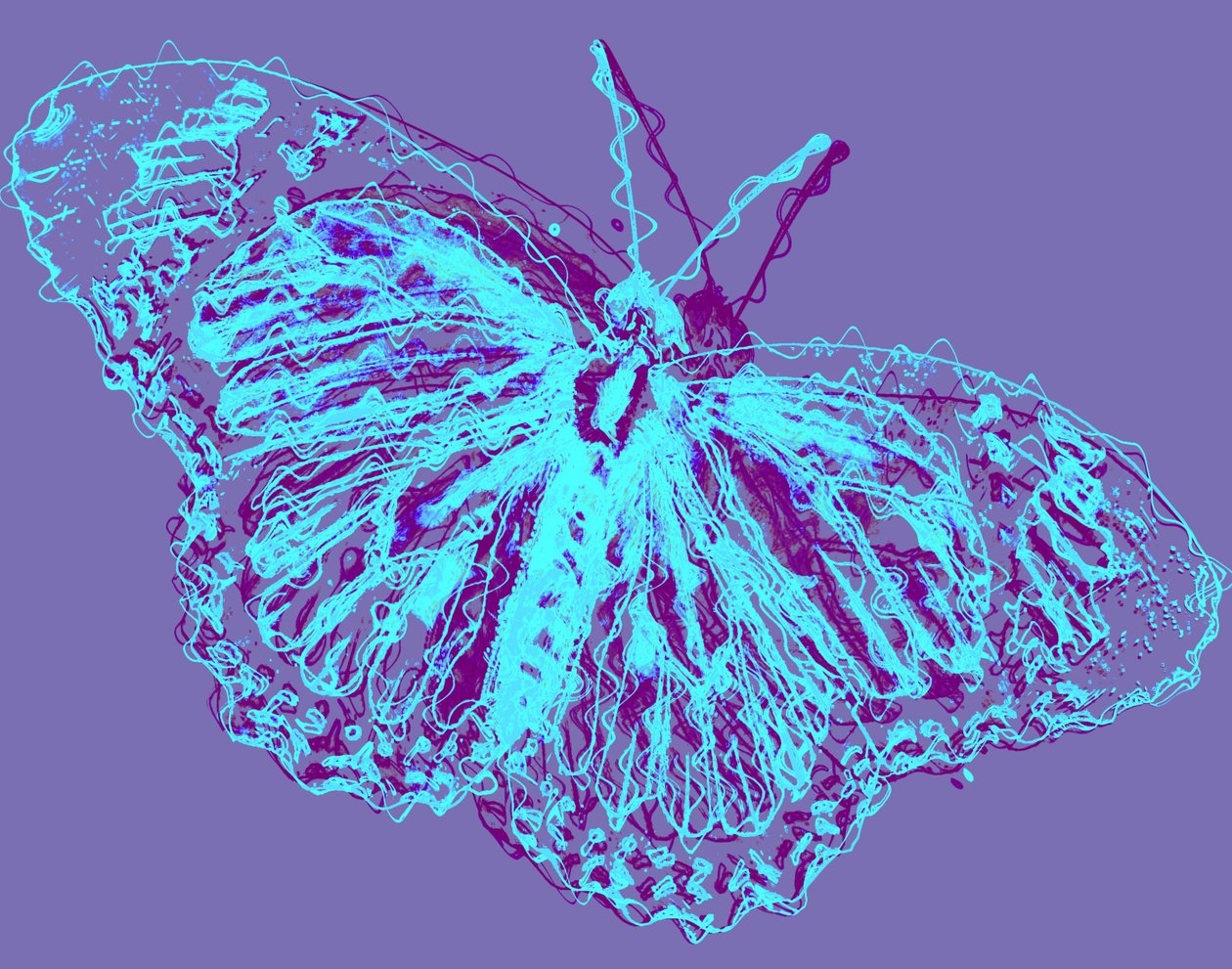 motyl, 2020, (media mieszane) autorstwa Alex Caminker