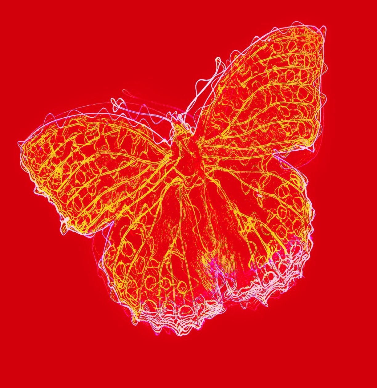 motyl III,2020, (media mieszane) autorstwa Alex Caminker