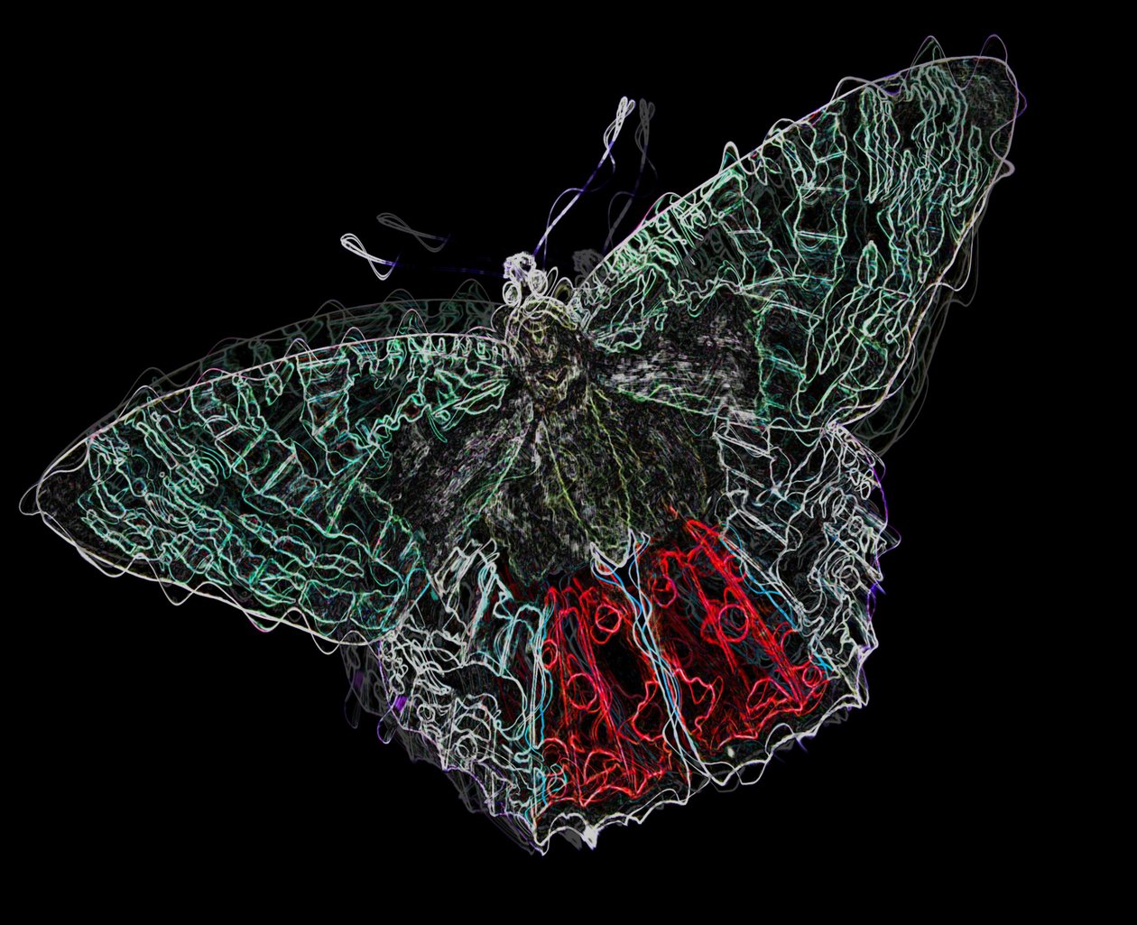 motyl V,2020,(media mieszane) autorstwa Alex Caminker