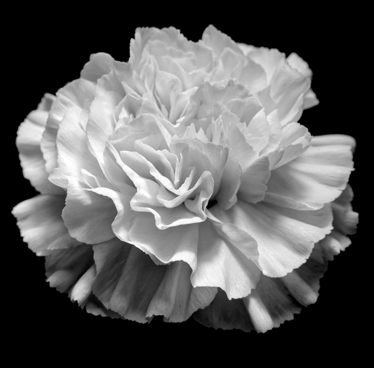 geometria naturalna II,2019,(fotografia) autorstwa Alex Caminker