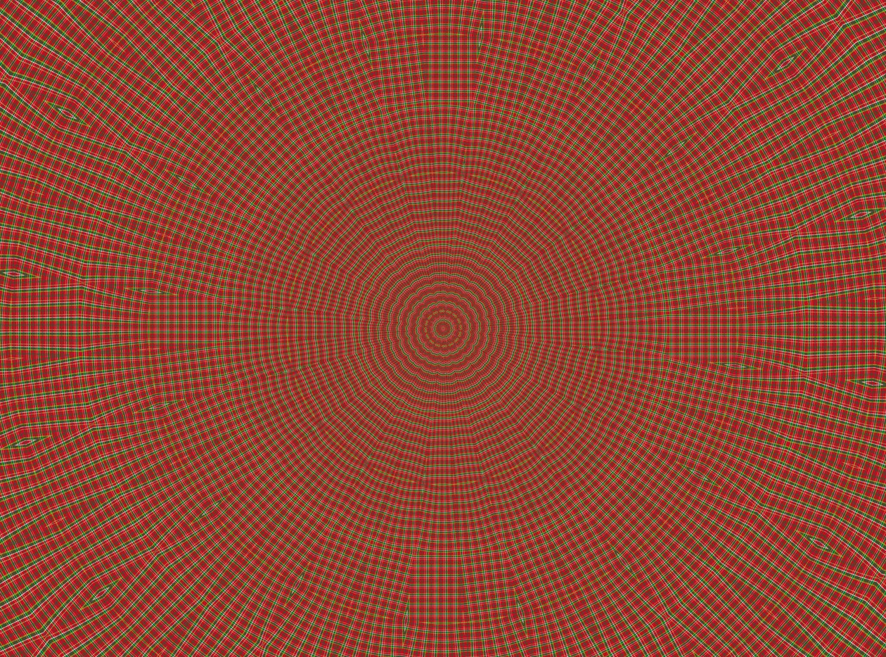 ozdoba #2,2019, (media mieszane) autorstwa Alex Caminker