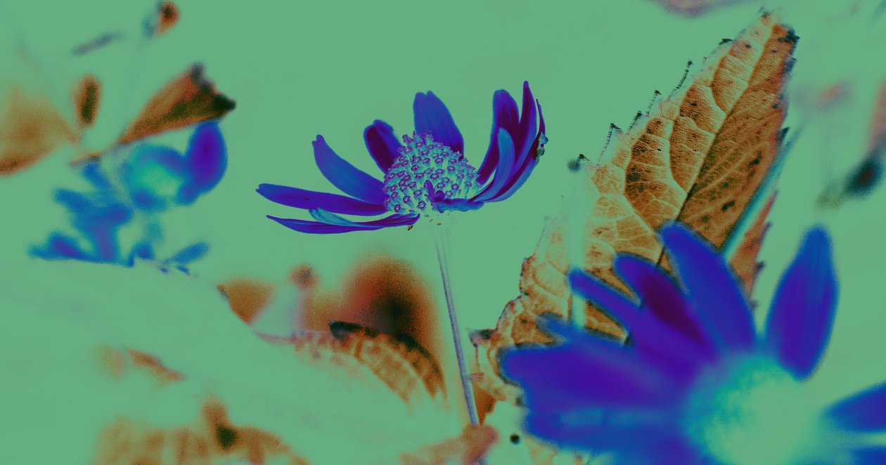 uv vsion, 2019, (kolaż) autorstwa Alex Caminker