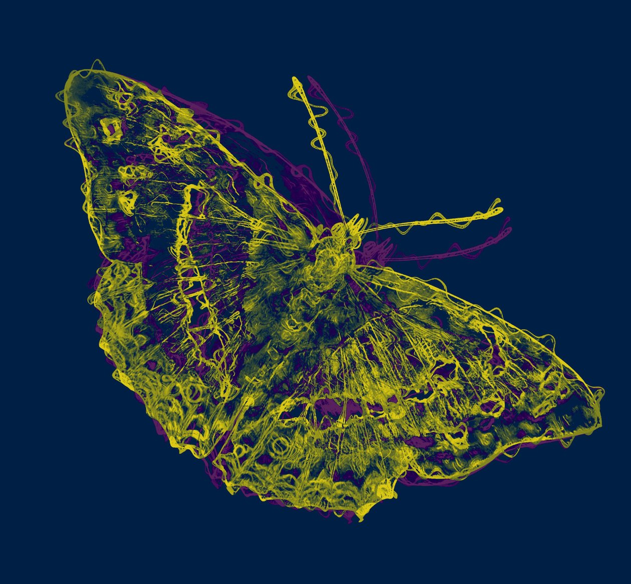 żółty motyl, 2020, (media mieszane) autorstwa Alex Caminker