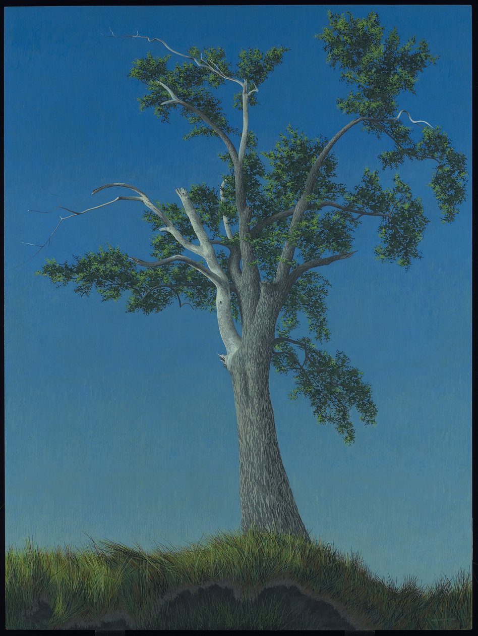 Elm Tree at Horton Landing autorstwa Alex Colville