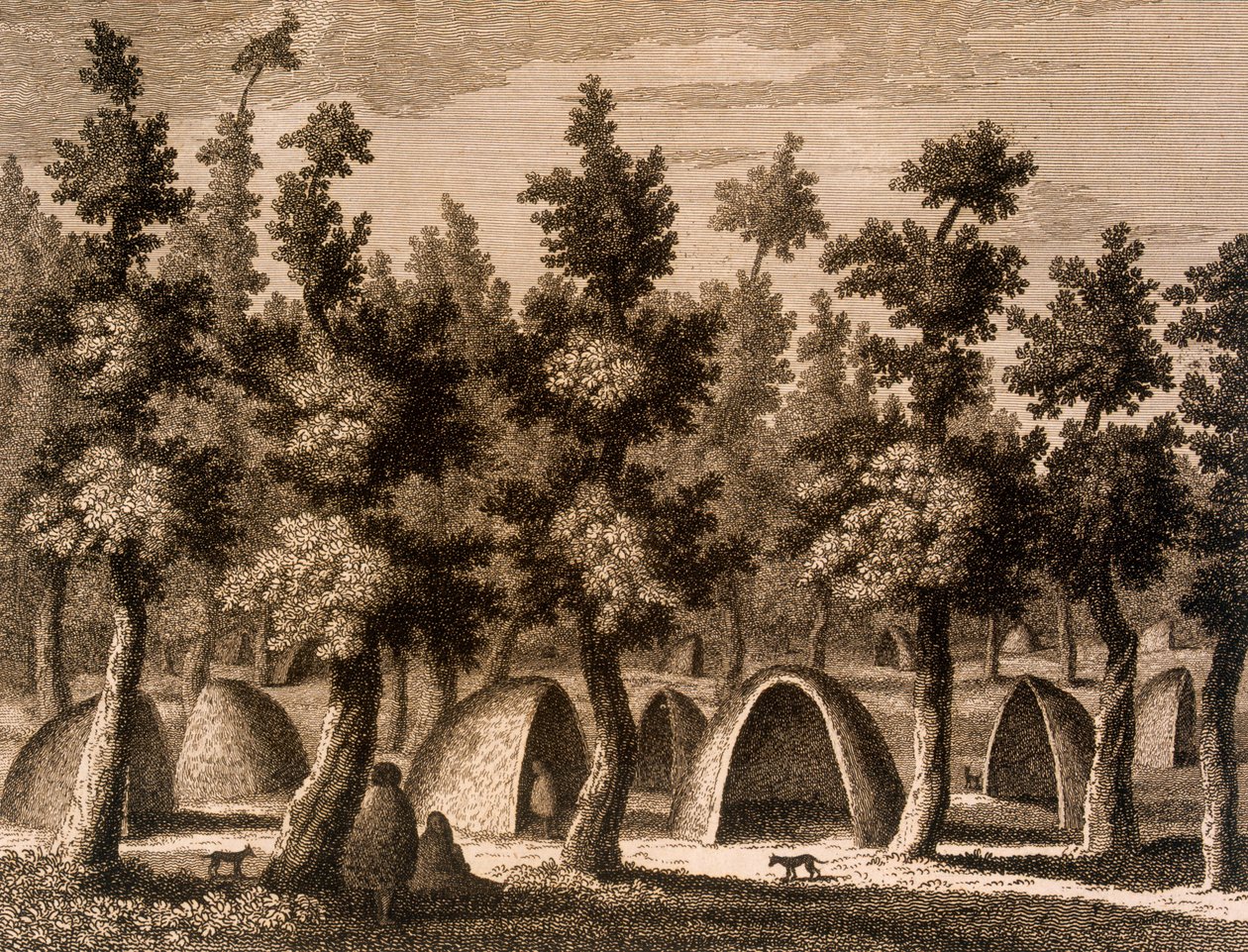 Widok wioski w Zatoce Dobrego Sukcesu, Ziemia Ognista, 1777 autorstwa Alexander Buchan