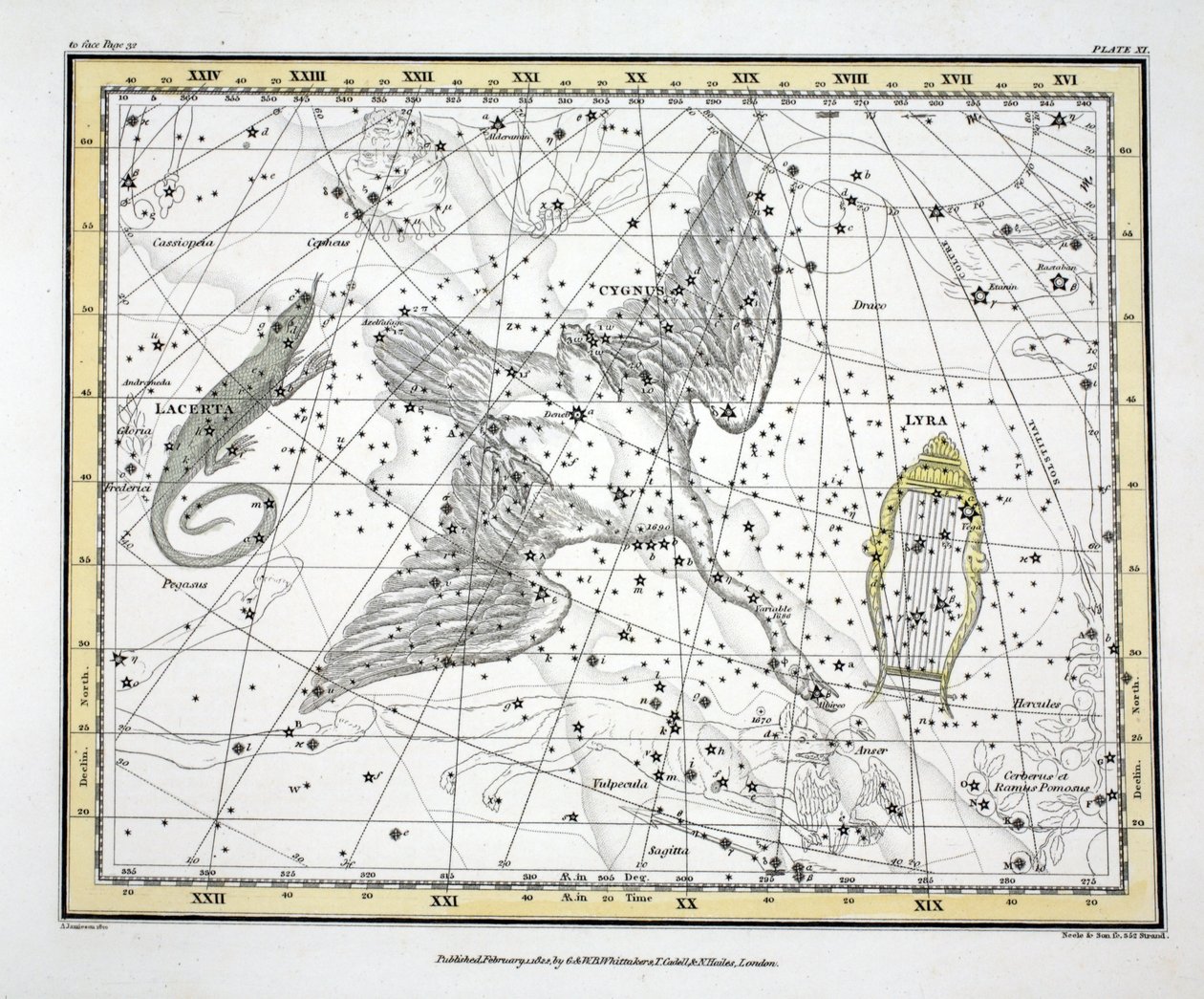 Konstelacje (tabl. XI) Łabędź, Lacerta i Via Lactea, z „Atlasu niebieskiego” Alexandra Jamiesona, wyd. Londyn 1822 (ręcznie kolorowane grawerowanie) autorstwa Alexander Jamieson