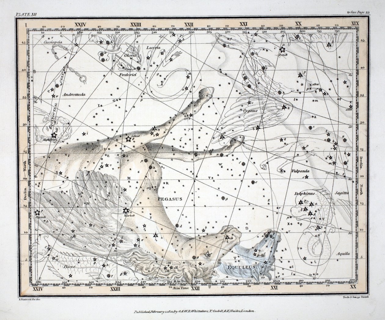 The Constellations (Plate XII) Pegasus, and Equuleus, from 