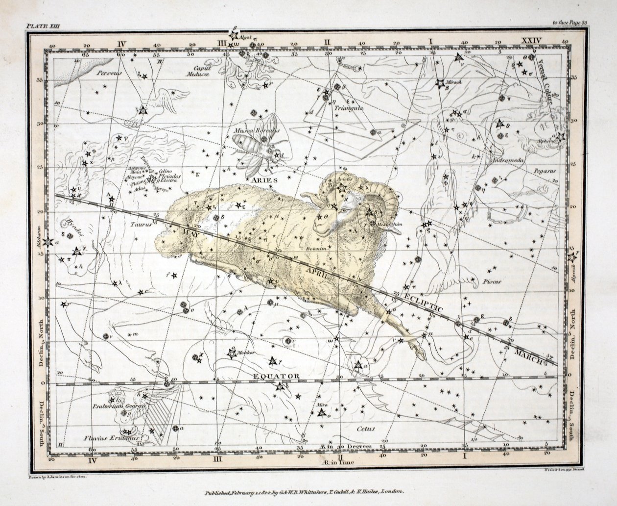 Konstelacje (plansza XIII) Baran i Musca Borealis, z 