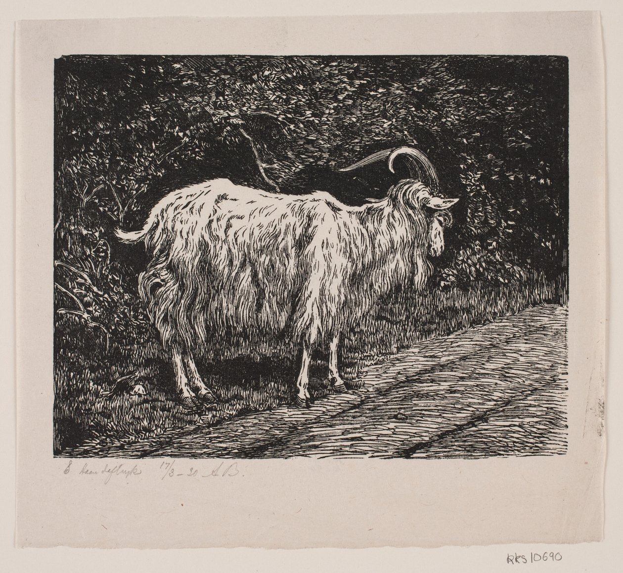 Koza autorstwa Alexander Blom