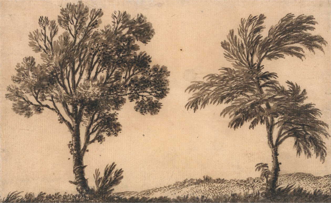 Studium dwóch wierzb autorstwa Alexander Cozens