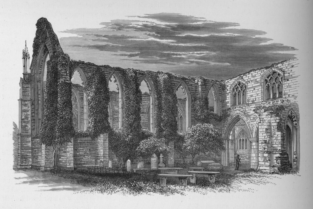 Z północy, Bolton Priory, c1880, 1897 autorstwa Alexander Francis Lydon