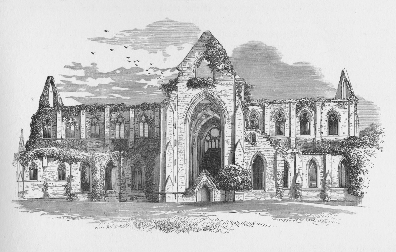 Od południa, Opactwo Tintern, ok. 1885, 1897 r. autorstwa Alexander Francis Lydon