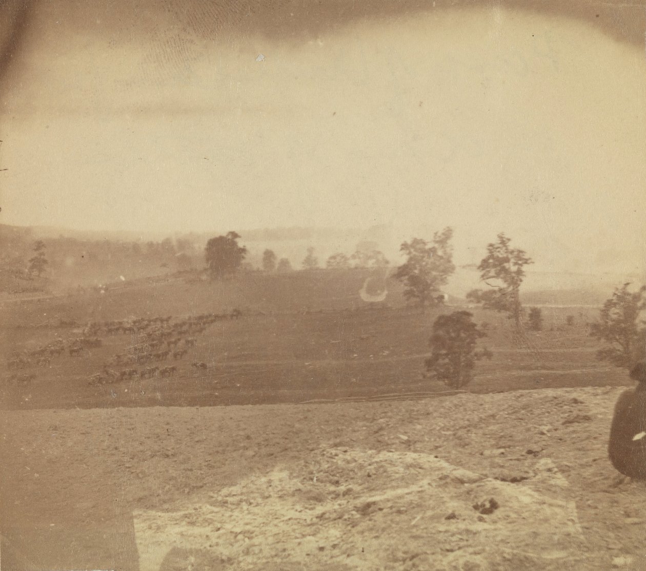 [Pole bitwy pod Antietamem], 1862. autorstwa Alexander Gardner