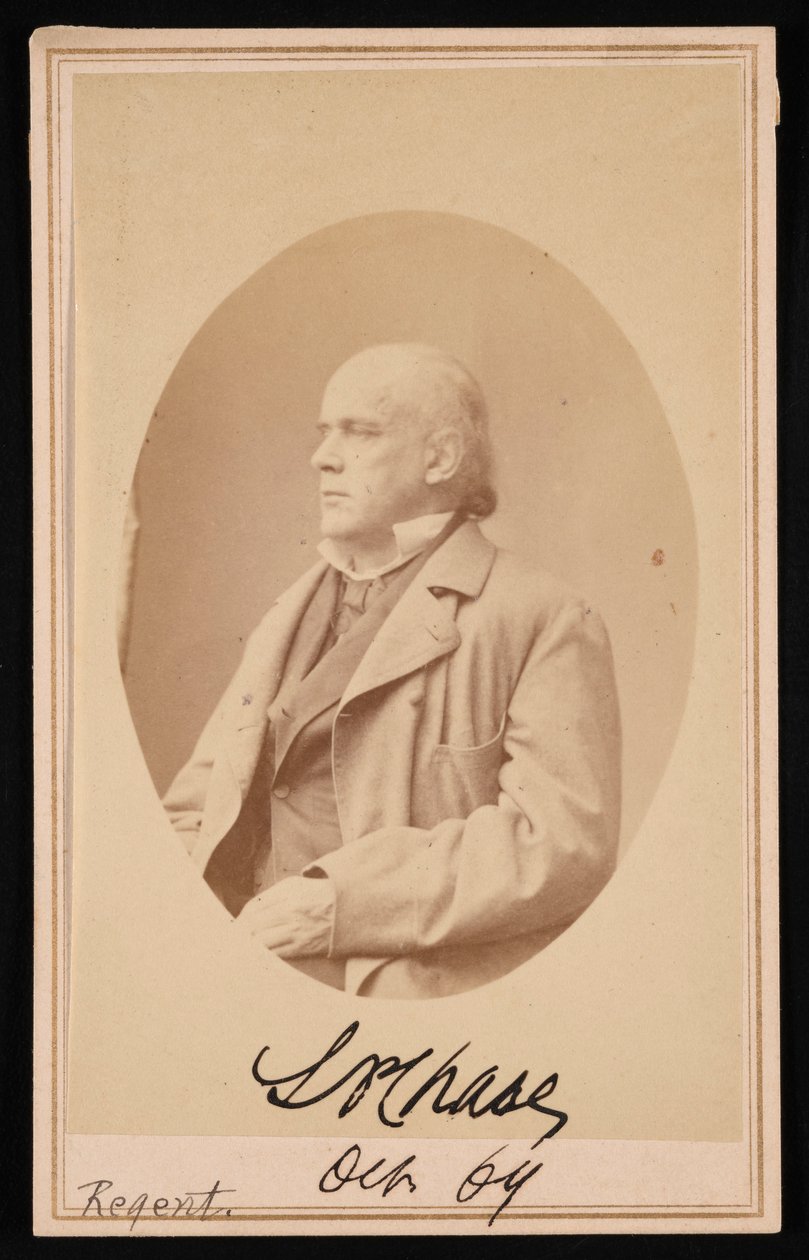 Portret łososia Portland Chase 1808-1873, październik 1864. autorstwa Alexander Gardner