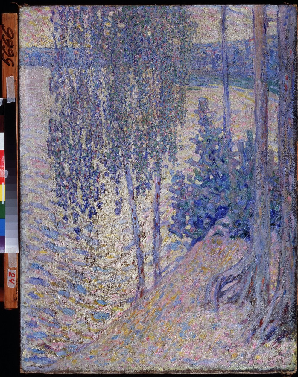 „„ Brzozy ”” (brzozy) Obraz Aleksandra Fiodorowicza Gausha (1873-1947) około 1910 r. Państwowe Muzeum Sztuki Republiki Czuwaski Czeboksary autorstwa Alexander Gaush