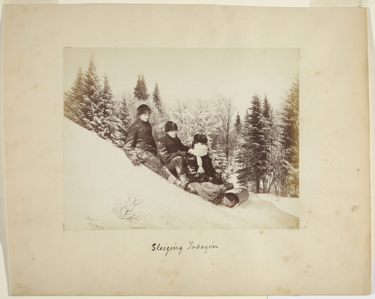 Saneczkarstwo, ok. 1873 (druk albumowy (kompozytowy)) autorstwa Alexander Henderson