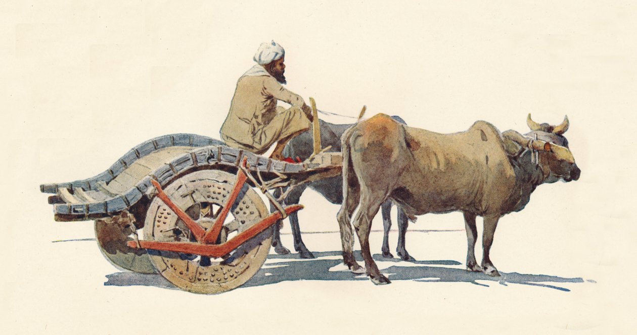 Wóz Bullock, Jodhpur, ok. 1880 1905. autorstwa Alexander Henry Hallam Murray