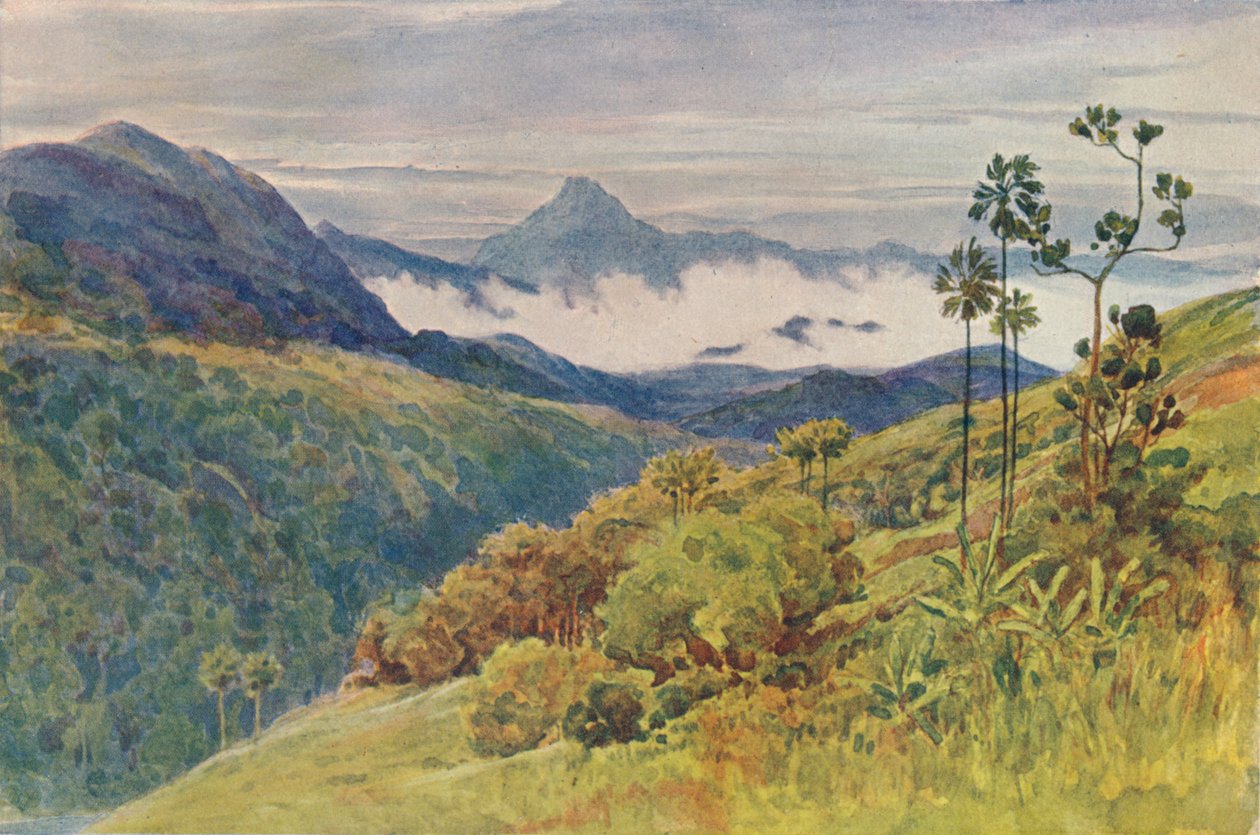 Poranne mgły w dolinie Mahaweli Ganga, ok. 1880 1905. autorstwa Alexander Henry Hallam Murray