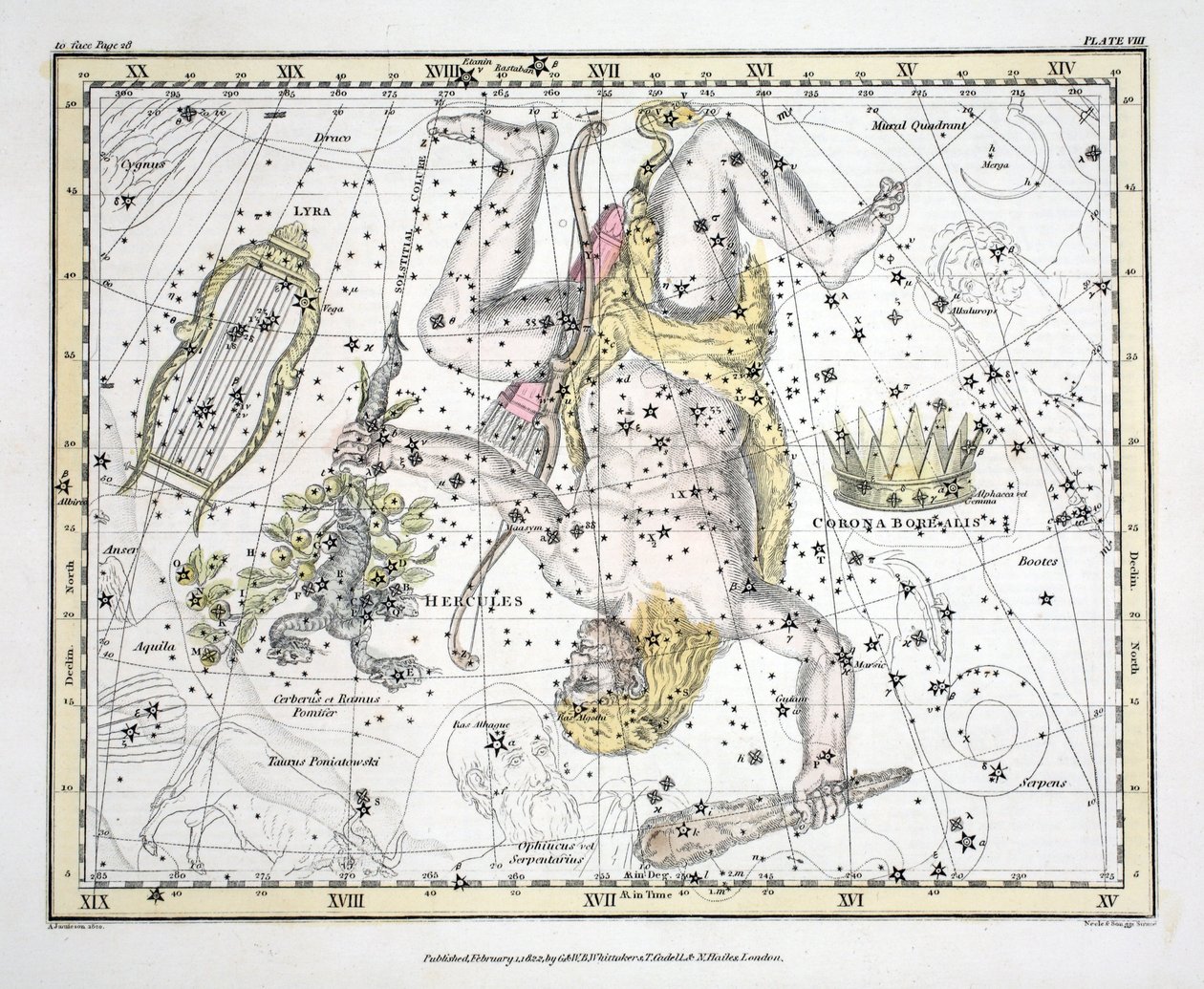 Konstelacje (tabl. VIII) Corona Borealis, Herkules i Cerber, Lyra, z „Atlasu niebieskiego” Aleksandra Jamiesona, wyd. Londyn 1822 (ręcznie kolorowane grawerowanie) autorstwa Alexander Jamieson