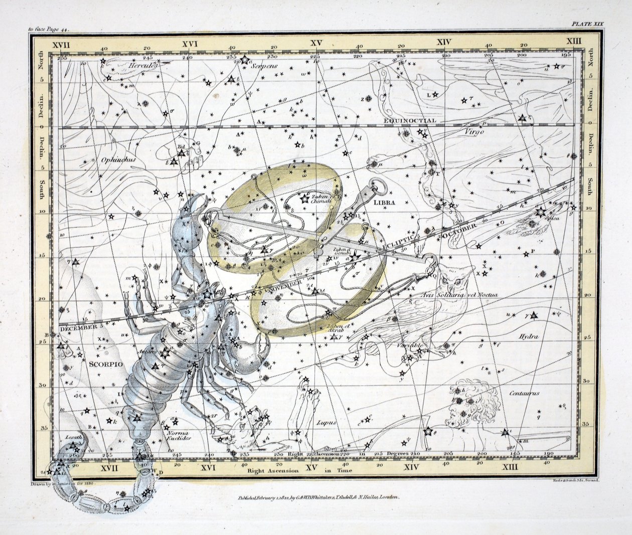 Konstelacje (tabl. XIX) Waga i Skorpion, z „Atlasu niebieskiego” Aleksandra Jamiesona, wyd. Londyn 1822 (ręcznie kolorowane grawerowanie) autorstwa Alexander Jamieson