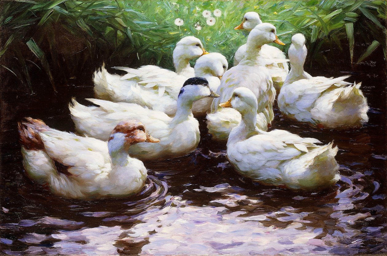 Na lądzie (kaczki) autorstwa Alexander Koester