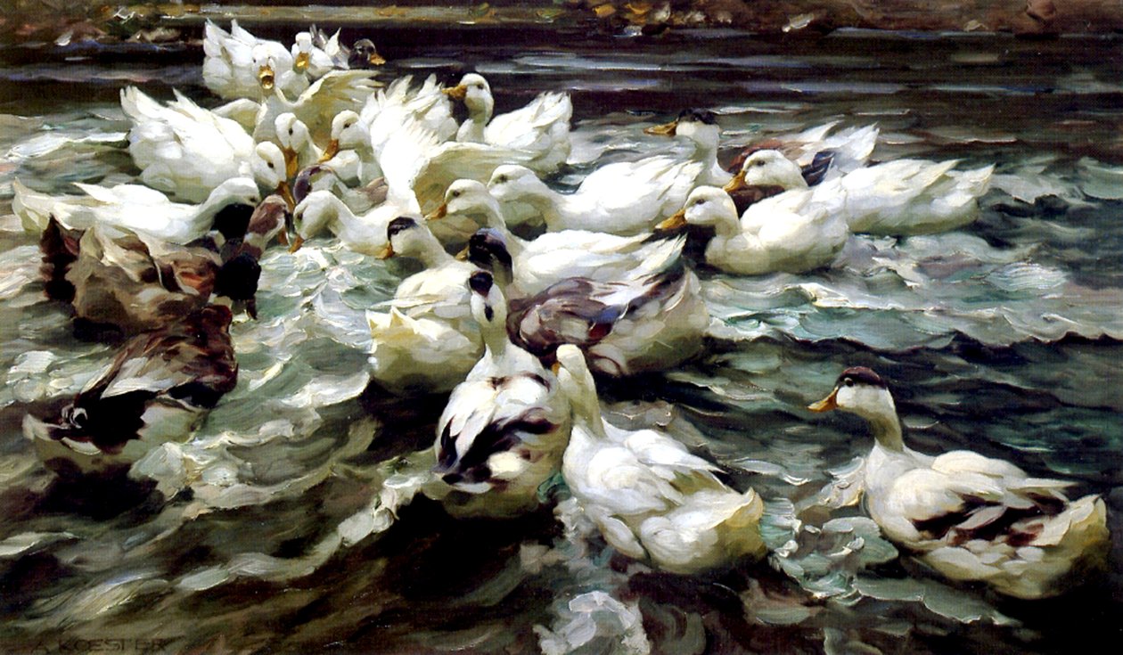 Spotkanie kaczek (olej na płótnie) autorstwa Alexander Koester