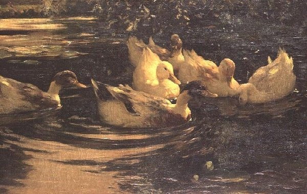 Kaczki na stawie autorstwa Alexander Koester