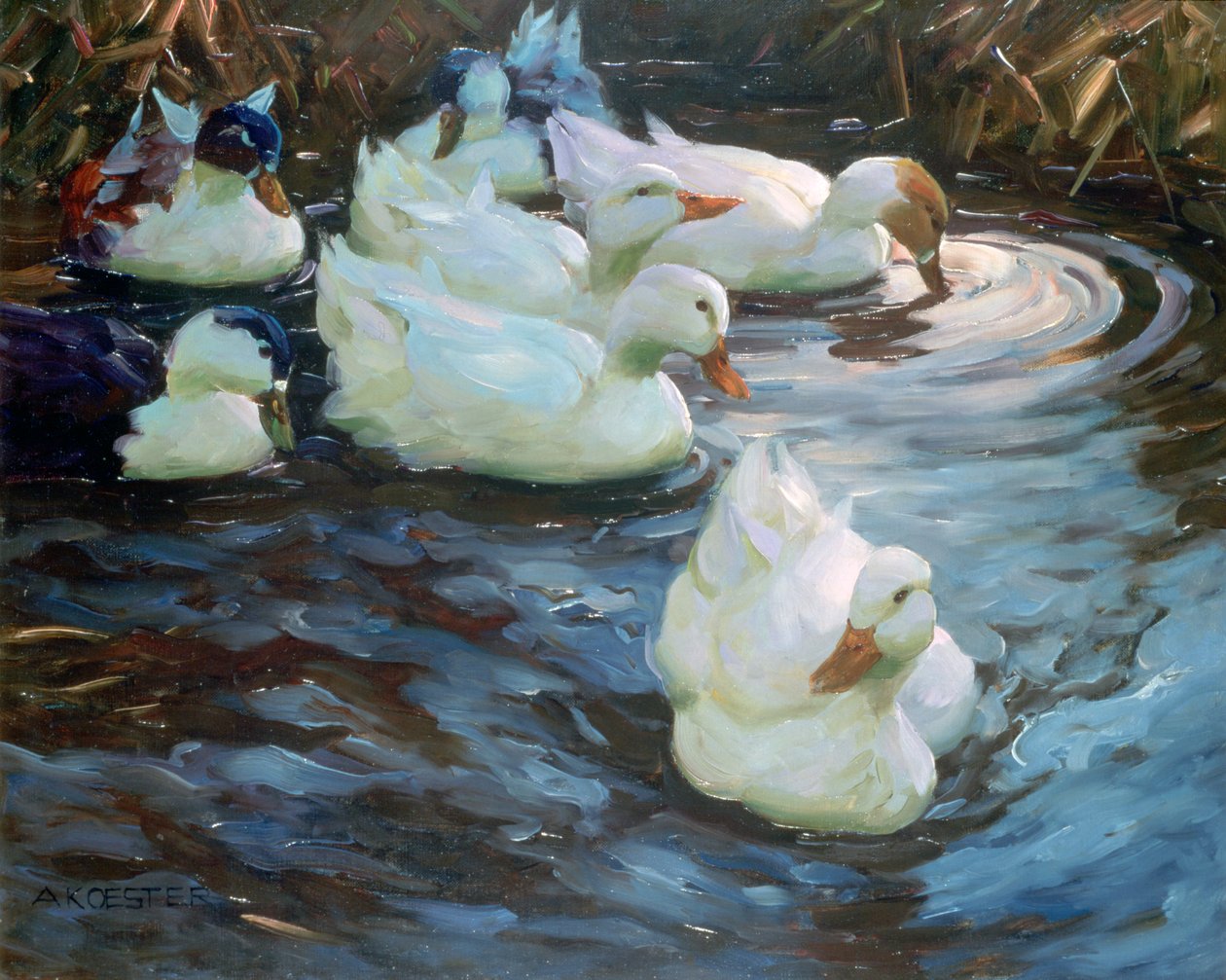 Kaczki na stawie, ok. 1884-1932 autorstwa Alexander Koester