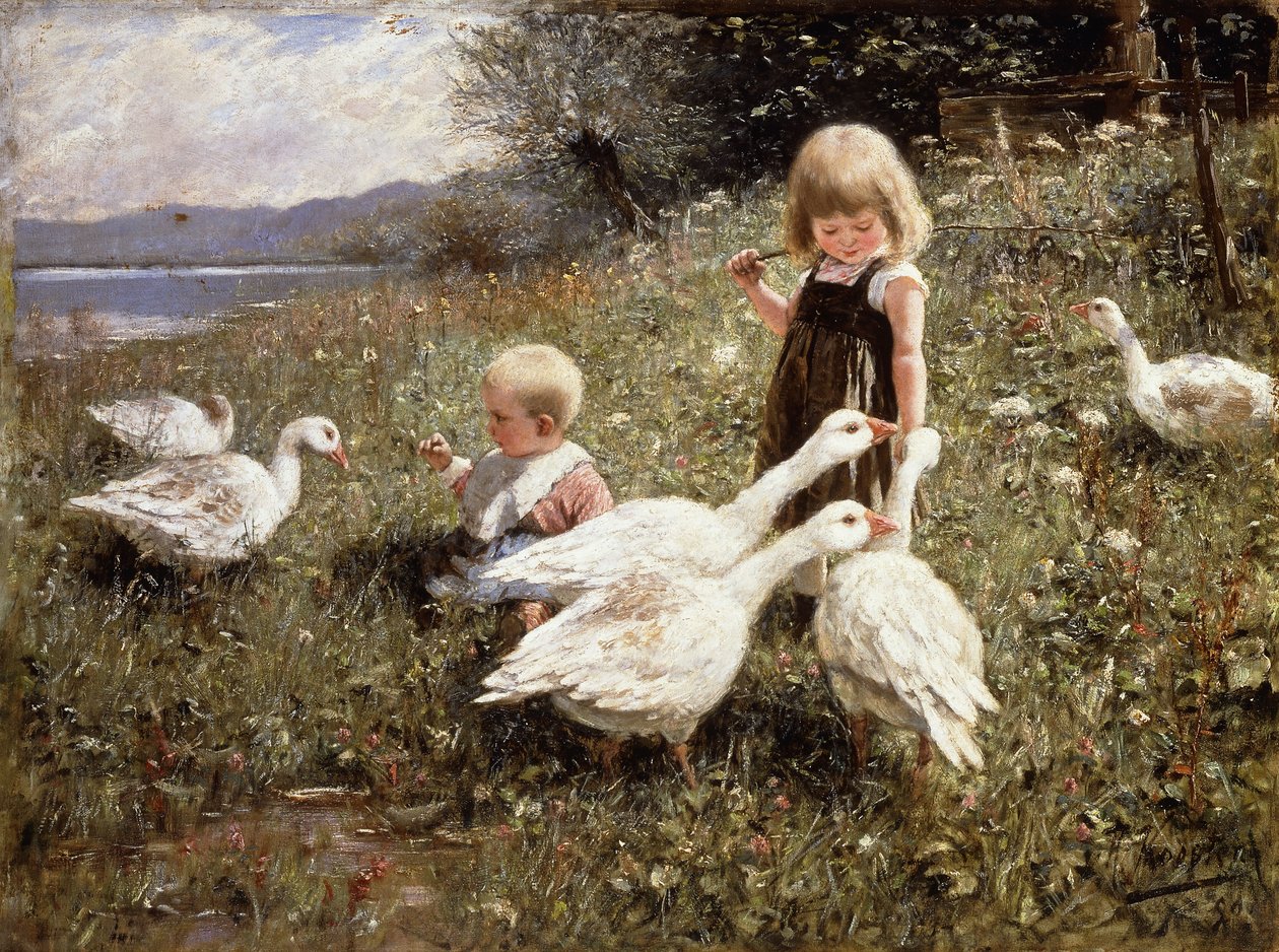 karmienie gęsi; Gansefutterung autorstwa Alexander Koester